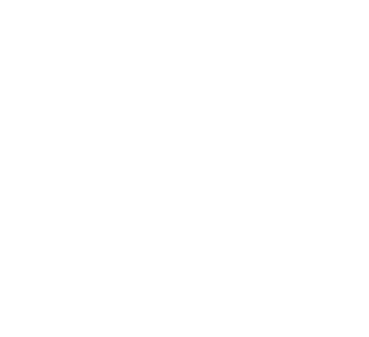 Logo de Selecorp S.R.L.